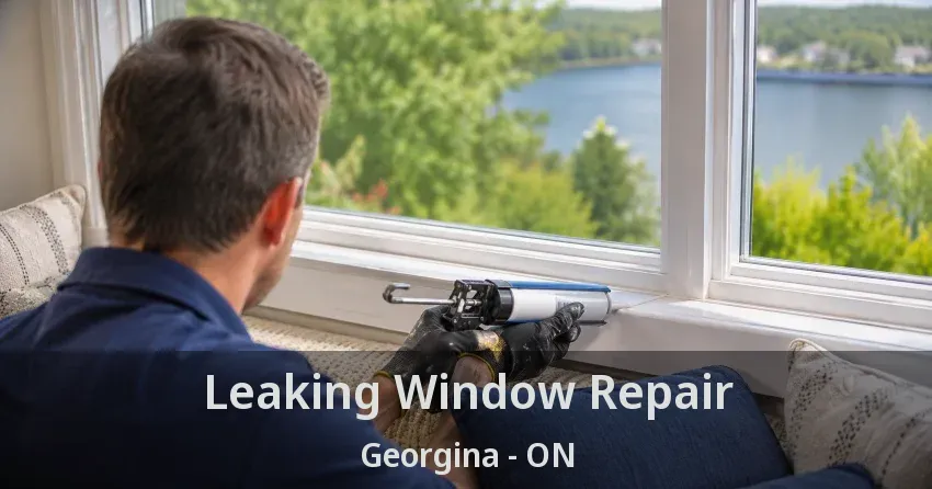 Leaking Window Repair Georgina - ON